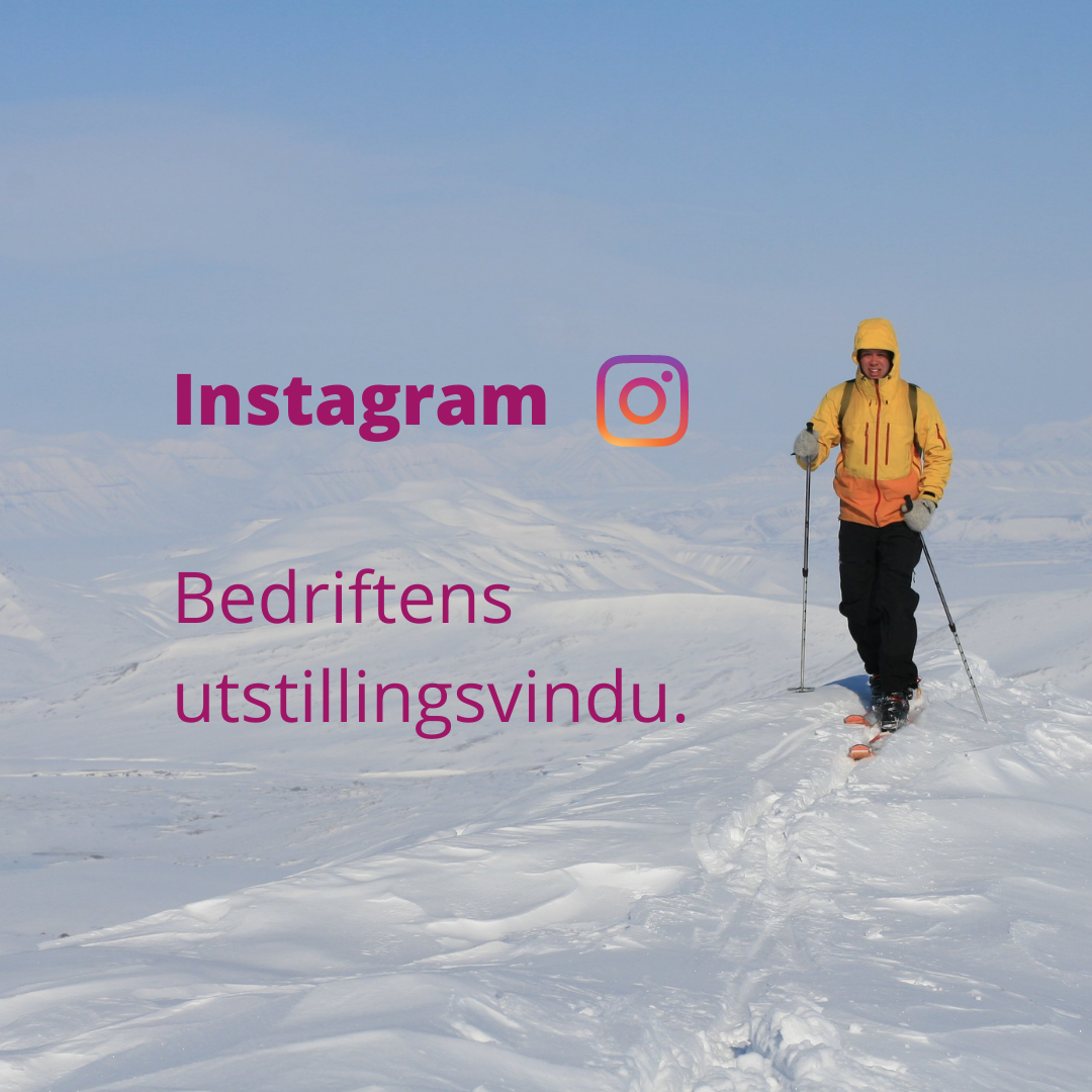 Instagram. Bedriftens utstillingsvindu. Skiløper i fjellet.